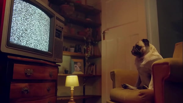 Nonton Two Czech Hotties Wrap Their Lips Around A Hard Dick thumbnail