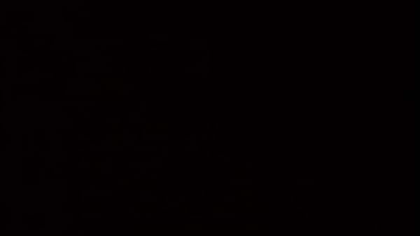 Doğrulama videosu