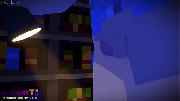 Minecraft同人动画图书馆的幽灵中文字幕