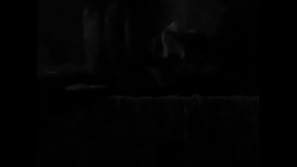 doggystyle guatemala 