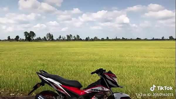Video x&aacute_c minh