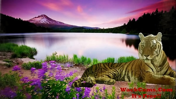 Nonton Fantasy Stripping Video thumbnail