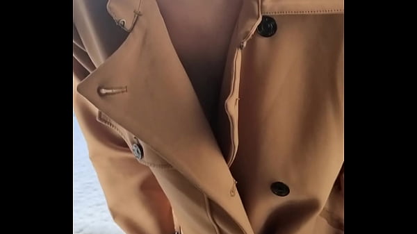 Shanaxcam - update #17 - Dec 31, 2021 