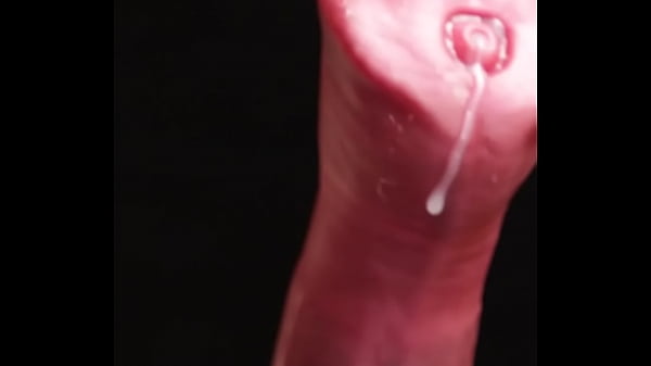 Busty Furry thumbnail