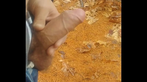 I Like My Little Dick thumbnail