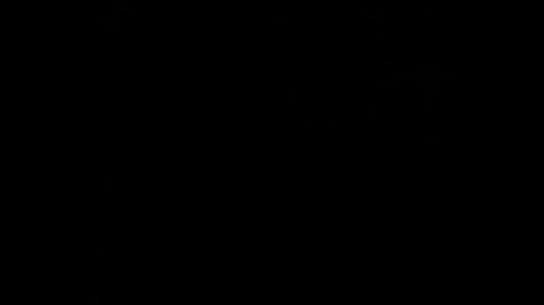 Nonton Fucked For $20 thumbnail