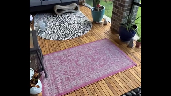 Happy international cat day from my cats to yours 