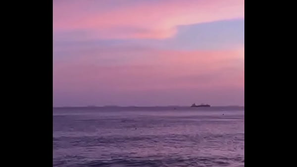 Video x&aacute_c minh