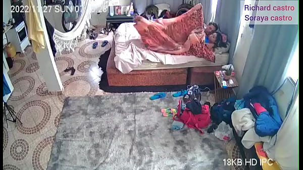 Soraya castro Pitbull porn 