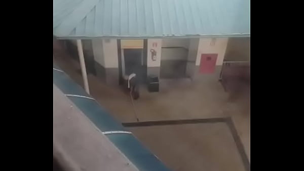 Nonton Limpador De Vidro thumbnail