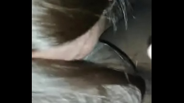 Tia chupa sobrinho e depois fode com ele Façaqualquer mulhergozar odeusdosexo