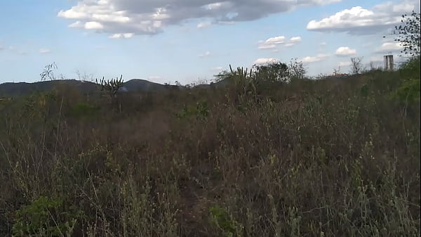 Semninguém onde onde os viados acasalam