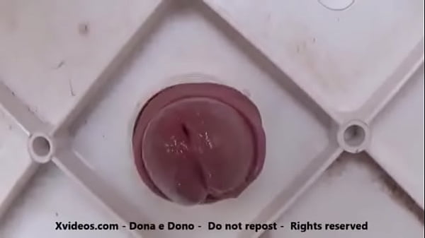 morango do amor com creme dentro 