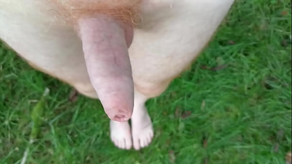 Closeup dick and feet on the grass 