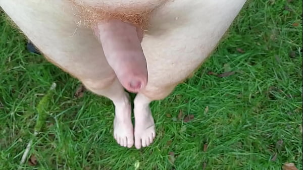 Closeup dick and feet on the grass 