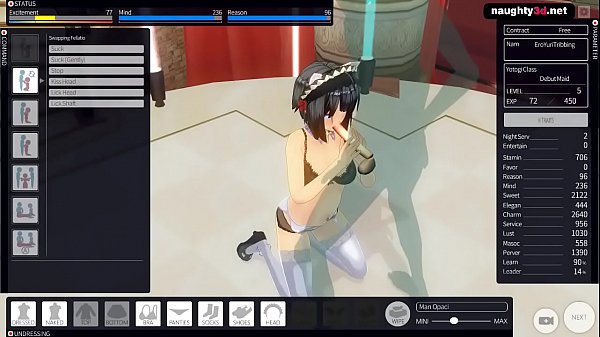 Hardcore 3d Game Maid Pussyfucking Second Day thumbnail