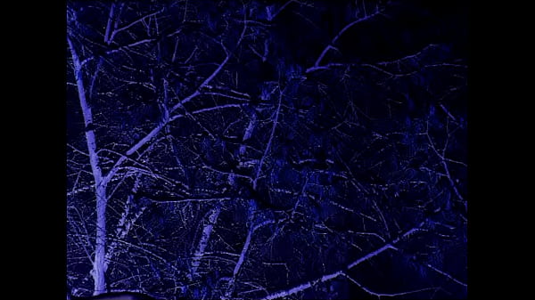 "stairway To The Stars" - [leyland Kirby] - (song Piece) thumbnail