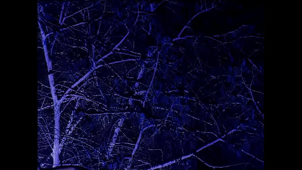 "stairway to the stars" leyland kirby song piece 