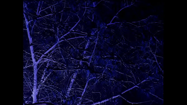 A Stairway To The Stars_The Caretaker