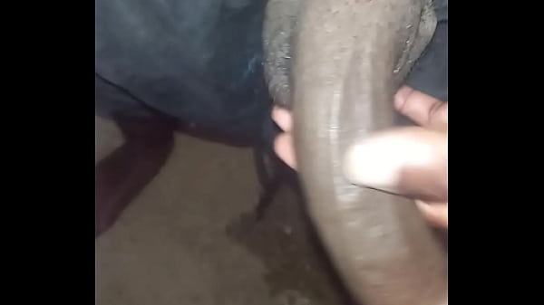 Una mamada r&aacute;pida en el ba&ntilde;o abandonado 