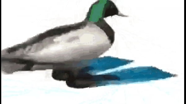 Diamantes ft sancelestial 