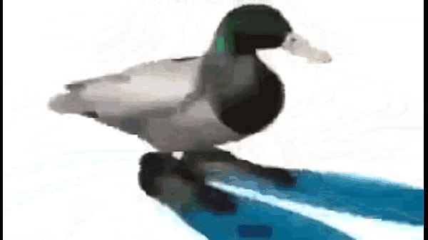 Diamantes ft sancelestial 