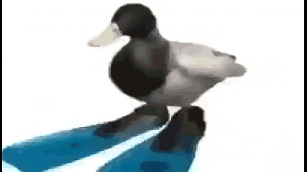 DiamantesTripleZeta SanCelestialasdfsafafsasaffsafffffff