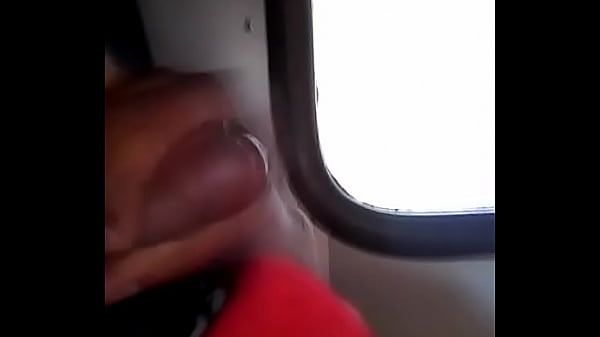 paja rica en autobus venezuela 