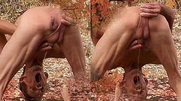 Wild Cock and Anal Outdoors - More than Penis in the Ass 