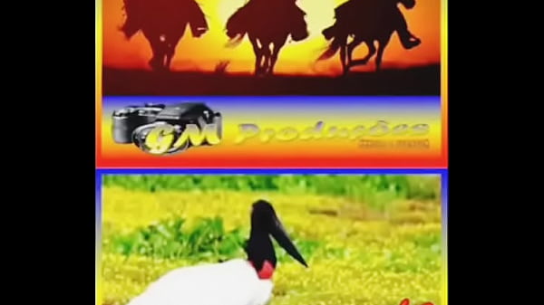 Nonton Still thumbnail