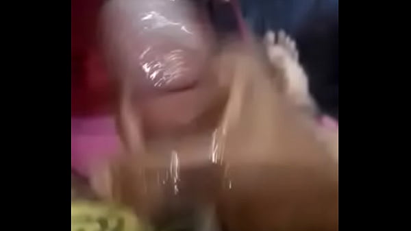 Play MP4 - Carreteiro muito leite