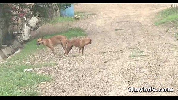 Real latina teen_Susan Pino 51