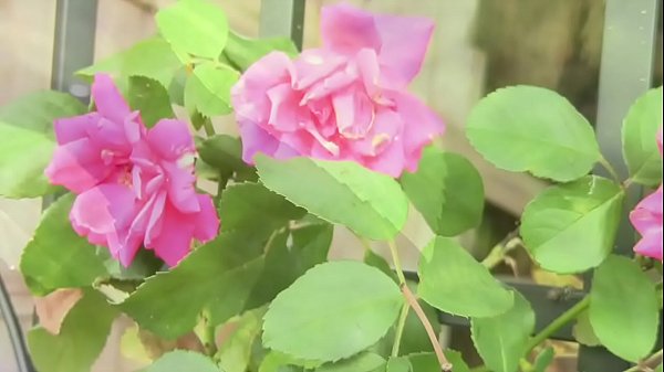 A_short film about_a man missing his loved_one Fully nude