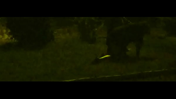 Whore On Leash Training Bdsm In Public thumbnail