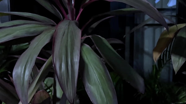 The Gardener Was Staring... So She Let Him Use Her Like A Fucktoy thumbnail