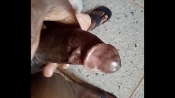 Curvystroke - Update #4- Breed You - Aug 24, 2023 thumbnail