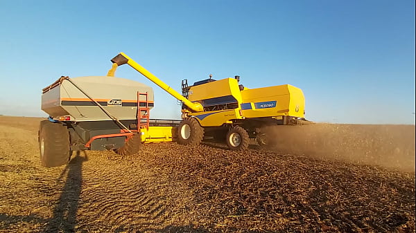 Nonton Colhendo Soja thumbnail