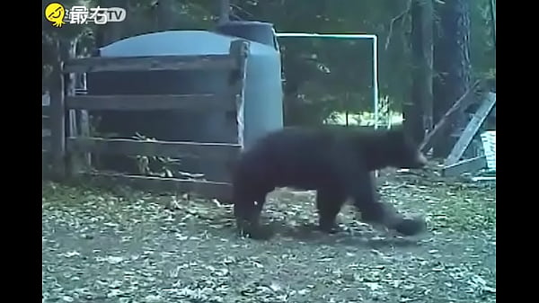 Verification video video thumbnail