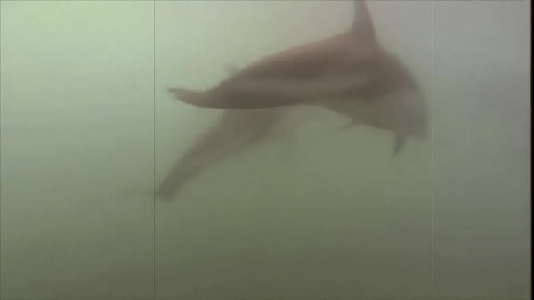 Play MP4 - Hairy Pussy In The Age Of Steam