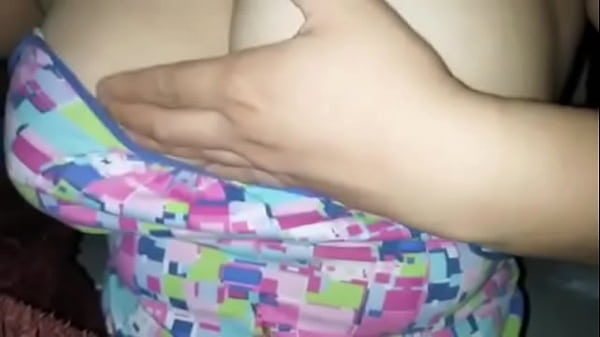 V&iacute;deos perros 