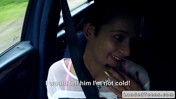 Stranger picks up and fucks cute teen incar