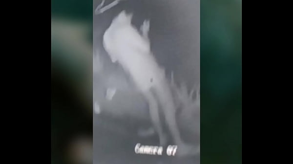 Mientras que se fue a orinar 