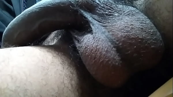 Play MP4 - Flexing my hairy balls & Flapping my hung boner &vert; Pt&period; 1 &vert;