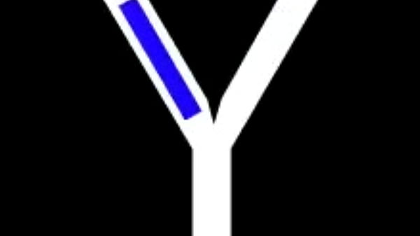 Aprenda codigo morse no xvideos de uma forma rapida e facil de aprender