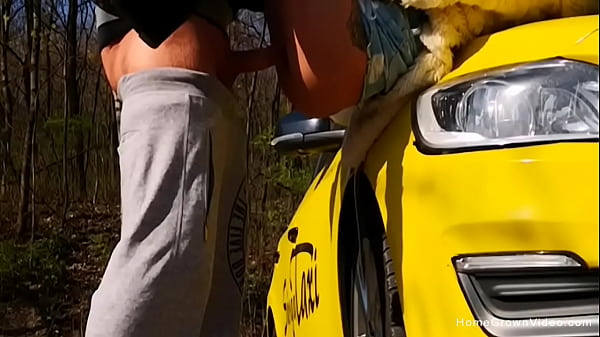 Brunette Slut Gets Railed By Her Taxi Driver thumbnail