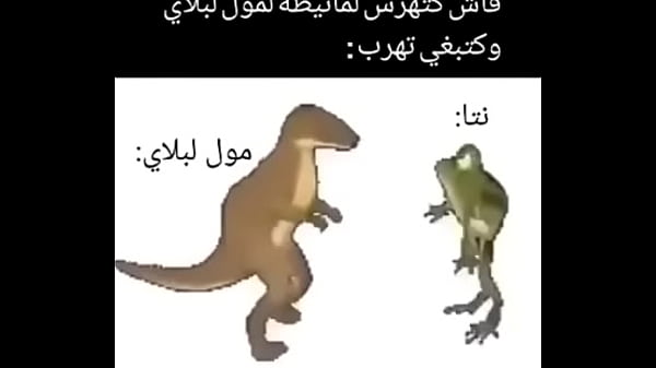 الديناصورات والضفدع لذيذ 