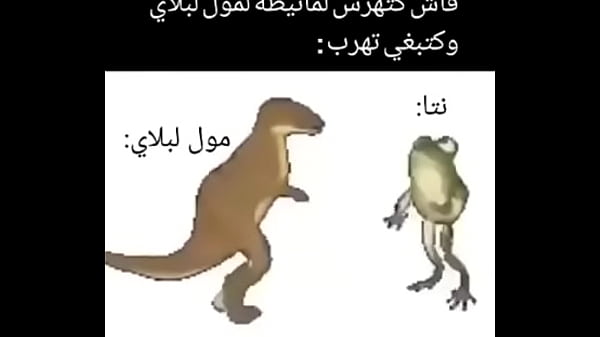 Sapo e dinossauro