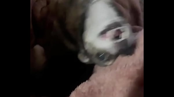 Braxton makes everything better ️ 