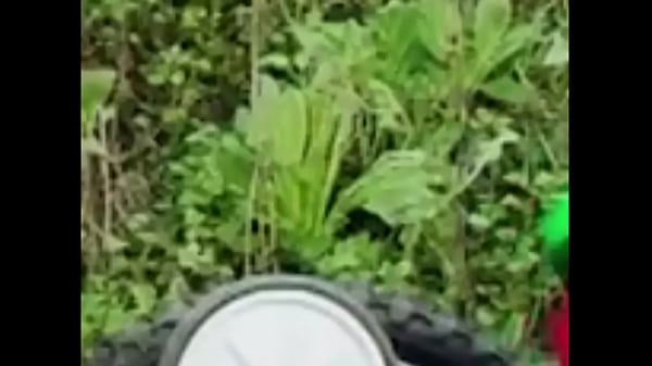 Nonton El Regalo De Bodoque thumbnail