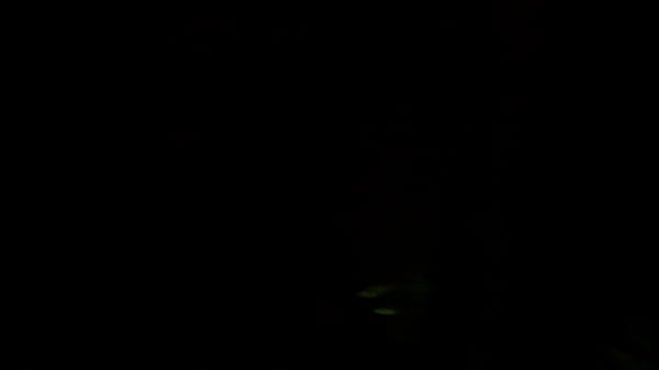 Motelazo con gemidos